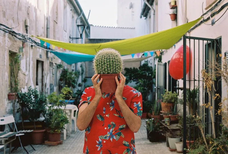 Cactus-headed shot on Kodak Portra 160 with a Leica M7, developed at Jacobo Biarnés Photo Studio, by Rafel Ross