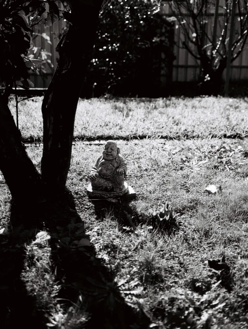 Film photo shot on Ilford Kentmere Pan 100 with a Fujifilm GS646S, developed at PhotoCo Camerahouse, by bri_er_ley
