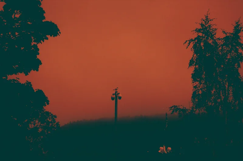 I could almost believe this is a real sunset in a dream from somewhere in the middle of Africa shot on PERSPEKTIVA Redscale 100 with a Olympus Superzoom 105G, developed at Skanim.RF, by Andrej Flatik