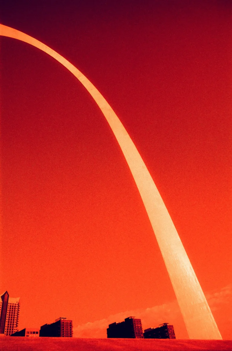 St. Louis, Cardinal shot on Harman RED 125 with a Olympus OM-2N, developed at Memphis Film Lab, by Will AB
