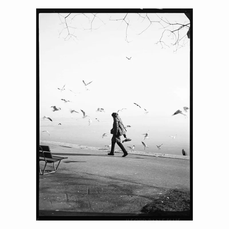 Film photo shot on Kodak T-Max 400 with a Fuji GS645, developed at Home / Self-Developed, by wholegrain