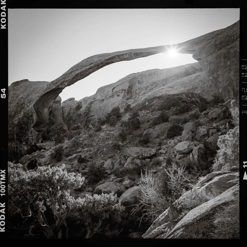 Arch shot on Kodak T-Max 100 with a Rolleiflex 2.8GX, developed at Photolab (Berkeley, CA), by Pengyuan Huang