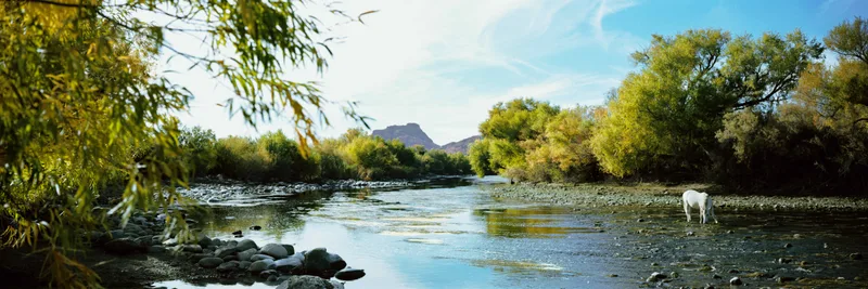 Salt River shot on Kodak Portra 160 with a Toyo-Field 45A, developed at Studio V, by Cray