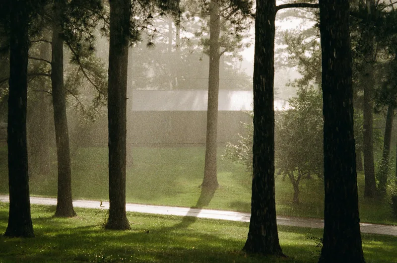 Summer rain in the Sunshine shot on Fujifilm Superia 200 with a Canon EOS Rebel Ti, developed at State Film Lab, by Mathai Karanja