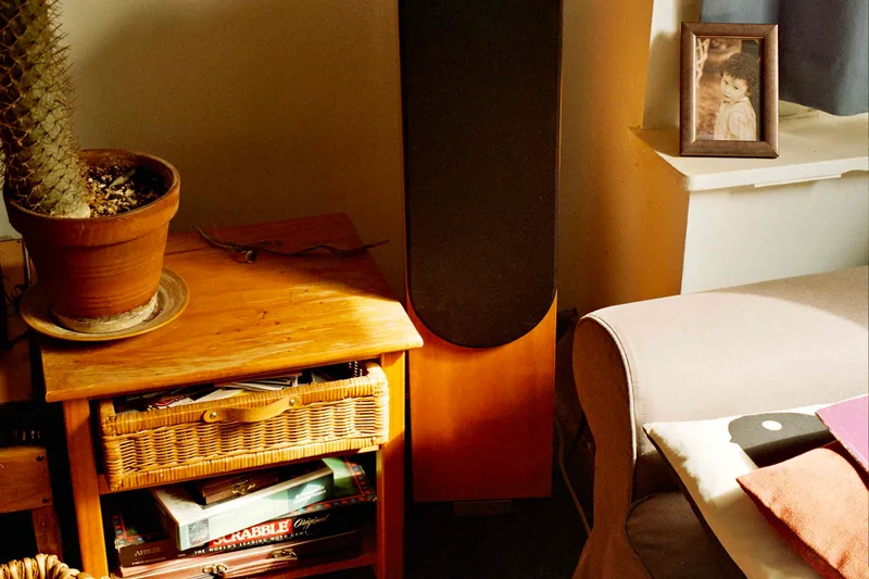 Home shot on Kodak Gold 200 with a Fuji STX-2, by Joe ladley