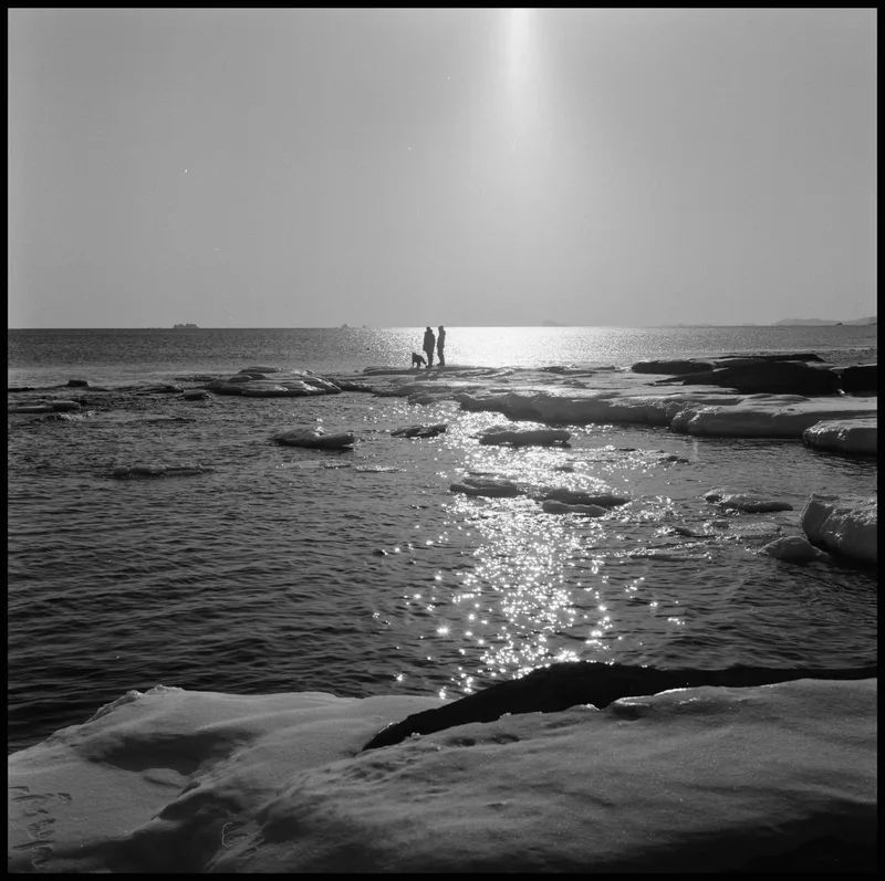 Film photo shot on Ilford FP4 Plus 125 with a Primoflex Va, developed at Lighthouse Film Lab, by Oleg Kovalev