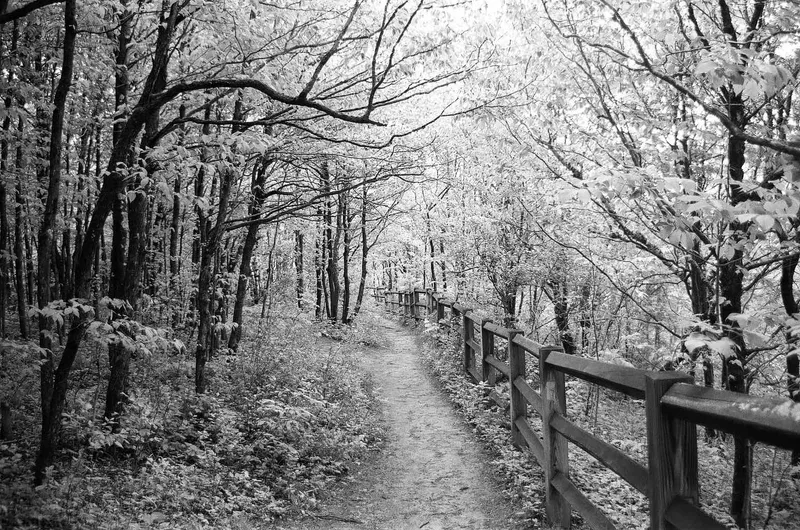 It’s not snowing shot on Kodak T-Max 400 with a Canon AE-1, developed at The DarkRoom, by Alen