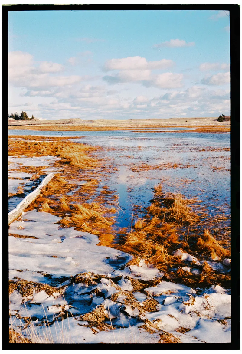 reid state park, georgetown, maine shot on Lucky C200 with a Leica M4, developed at Northeast Photographic, by Eric Wefald - Huang