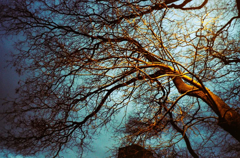 Blue Hour shot on Kodak Gold 200 with a Ricoh AF-5, developed at Pod Dachem, by Nanette