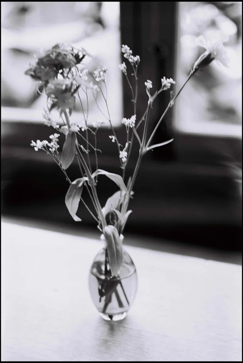 Still Life shot on Leica Monopan 50 with a Leica M6, developed at Pro Image Service, by Yves B