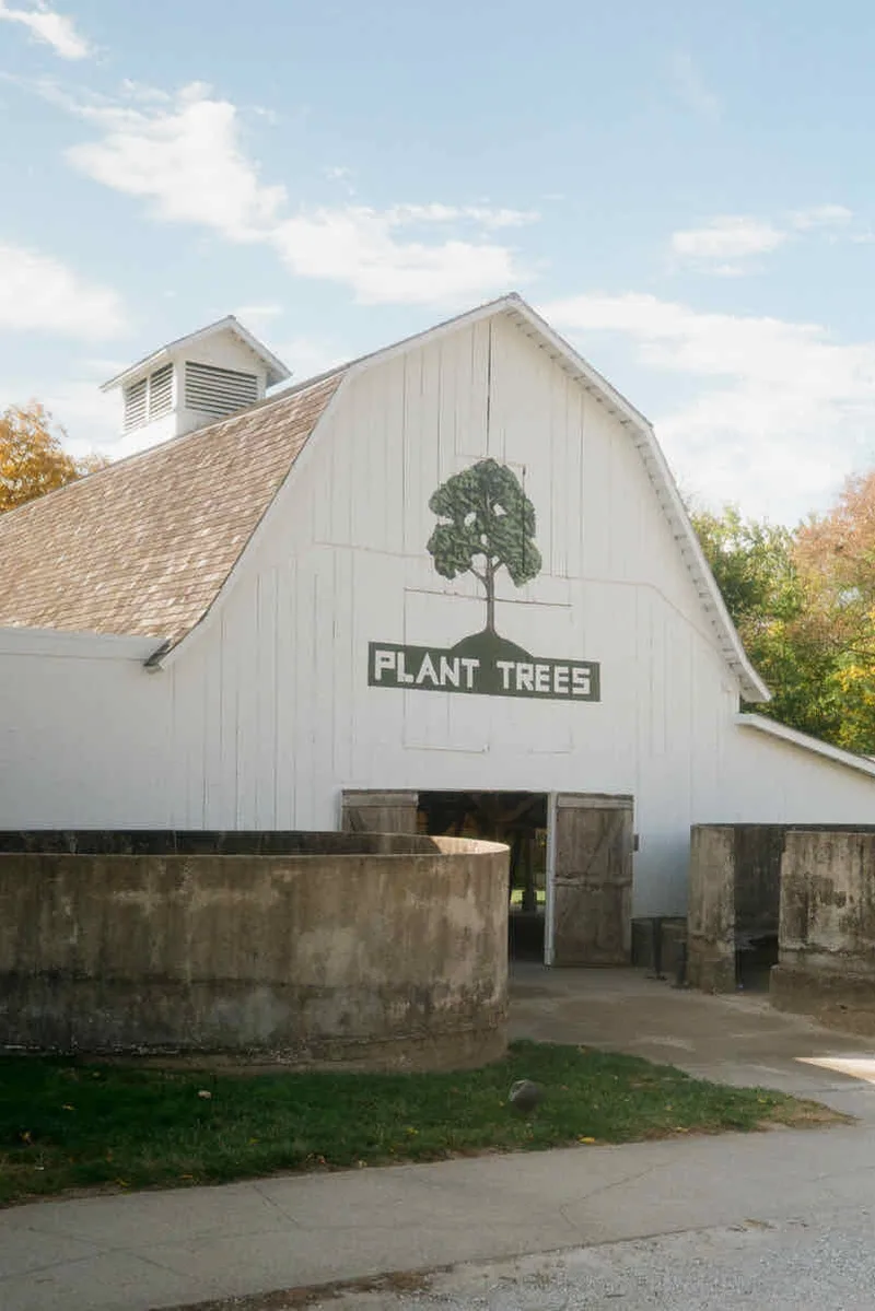 Plant Trees shot on Kodak ColorPlus 200 with a Contax III, developed at theFINDlab, by Jeremy Allen Wieczorek