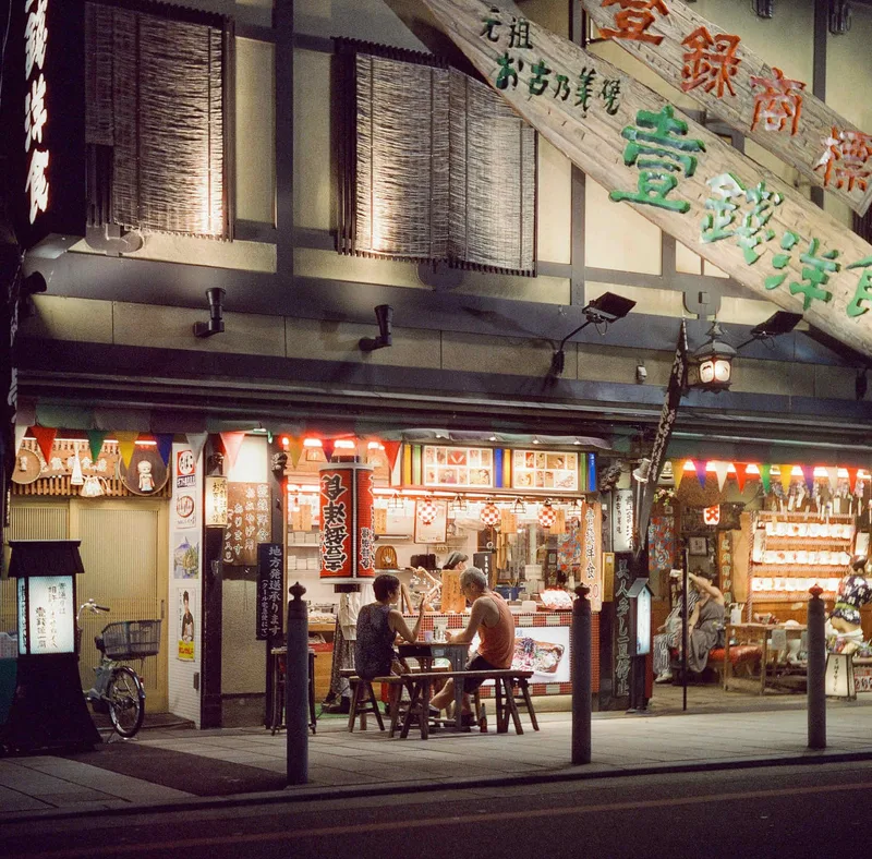 chilling in kyoto shot on Cinestill 800T with a Yashica D, developed at Dotwell Photo, by Prima Chan