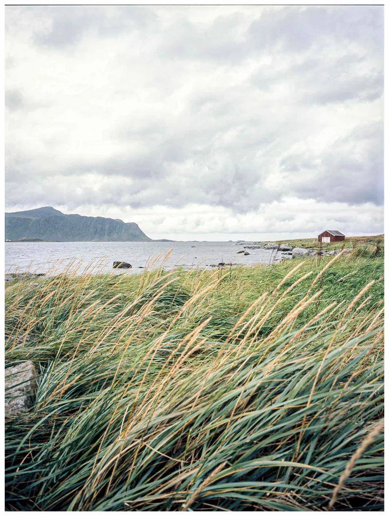 Film photo shot on Fujifilm Provia 100F with a Fuji GS645, by wholegrain