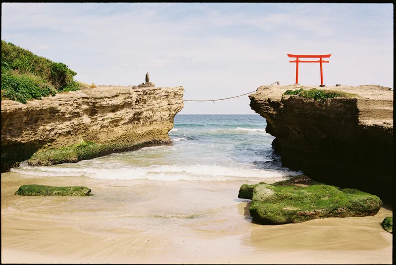Japanese spring shot on Kodak Kodacolor 200 with a Nikon FM3A, developed at Fotoexpress, by Marc