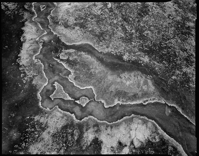 Water Stains on Granite, Arabia Mountain, Georgia shot on Kodak Tri-X 400 with a Toyo-Field 45A, developed at Home / Self-Developed, by Caleb LeBourgeois