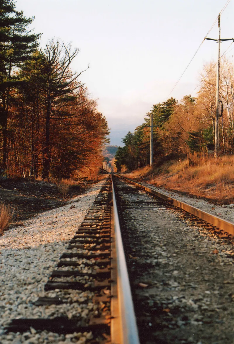 Film photo shot on Kodak Ektar 100 with a Nikon F2, developed at Kerry’s Photo Lab, by James