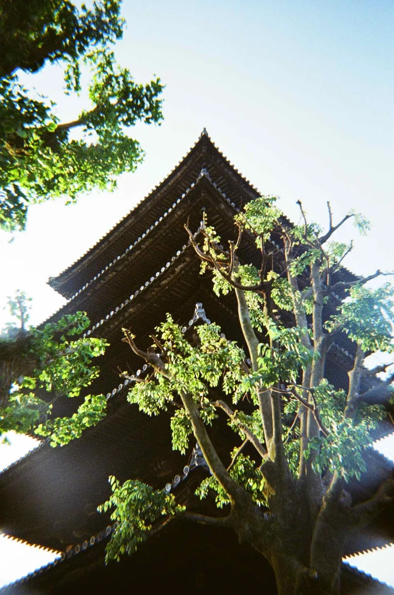 Hōkan-ji Temple 法観寺 (八坂の塔) shot on Kodak Gold 200 with a Kodak Ultra F9, developed at Precision Camera, by Jeremy Cantu