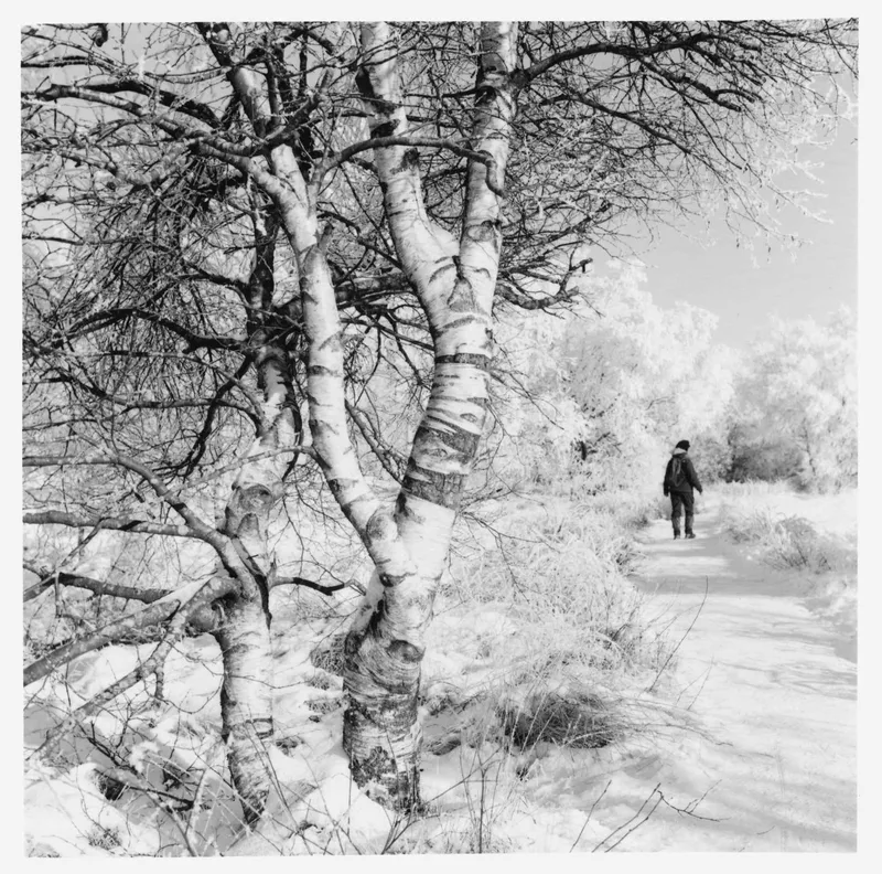 Neige #01 shot on Ilford FP4 Plus 125 with a Rolleiflex, developed at Home / Self-Developed, by Philippe Boulanger