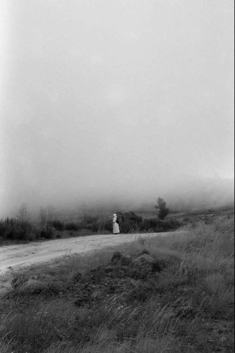 Fog shot on Foma Fomapan 100 Classic with a Minolta XD, developed at Home / Self-Developed, by Maëva Ferreira De Sà