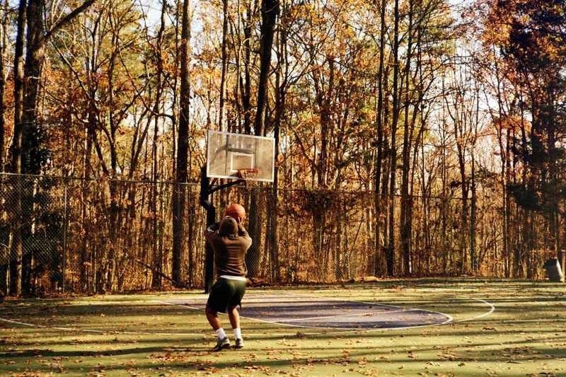 In the middle of the woods shot on Kodak Gold 200 with a Ricoh AF-5D, developed at Downtown Camera, by Gillian DiMaria