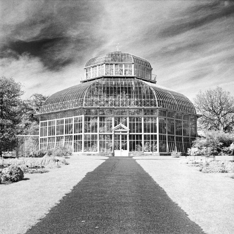 Infrared Greenhouse shot on Rollei Infrared 400 with a Yashica Mat 124, developed at Home / Self-Developed, by Marc Argentique