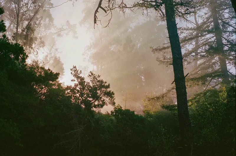 The Break of Dawn shot on Kodak Portra 400 with a Minolta XE-7, by Hamoodi