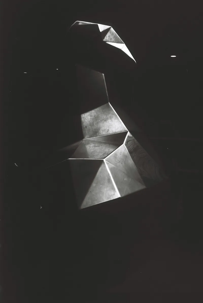 Film photo shot on Mr. Negative No Frills with a Olympus Electroset Auto, developed at PhotoCo Camerahouse, by bri_er_ley