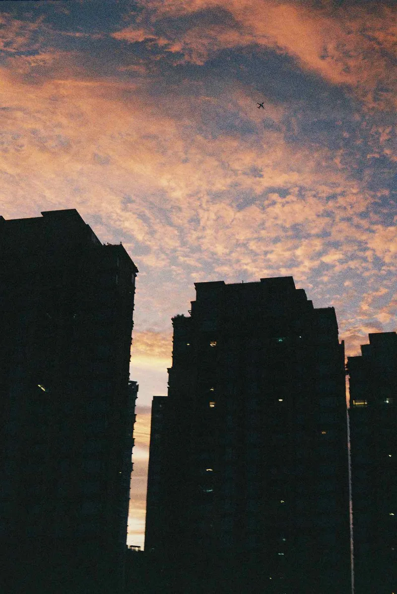 Ablaze in the evening shot on Kodak Gold 200 with a Zorki 6, by mirinell87