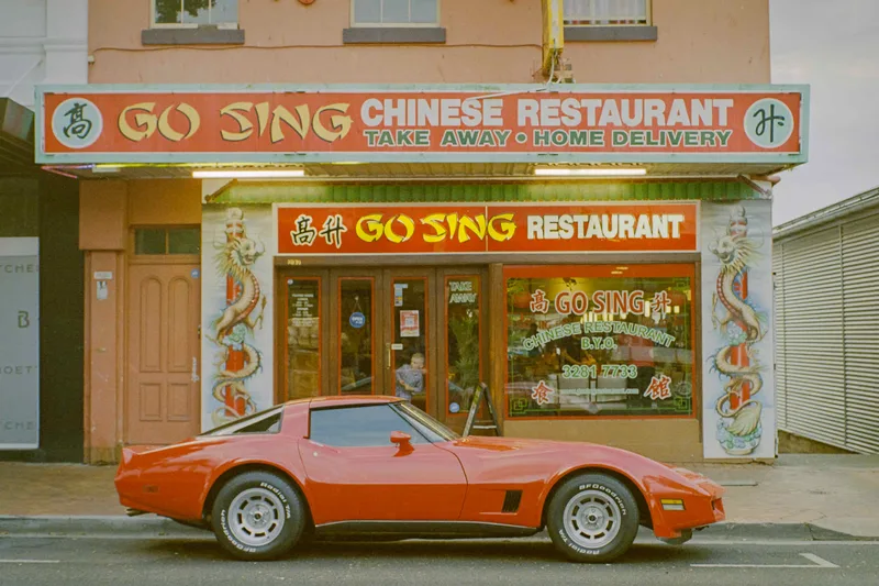 Go Sing shot on Kodak Portra 800 with a Nikon F801, developed at Home / Self-Developed, by Steve