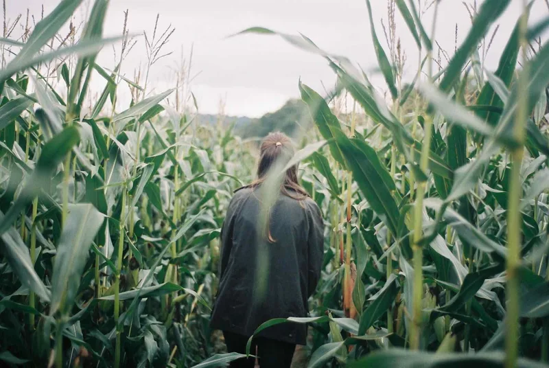 Corny jokes shot on Kodak Portra 400, developed at Film Processing, by Ben