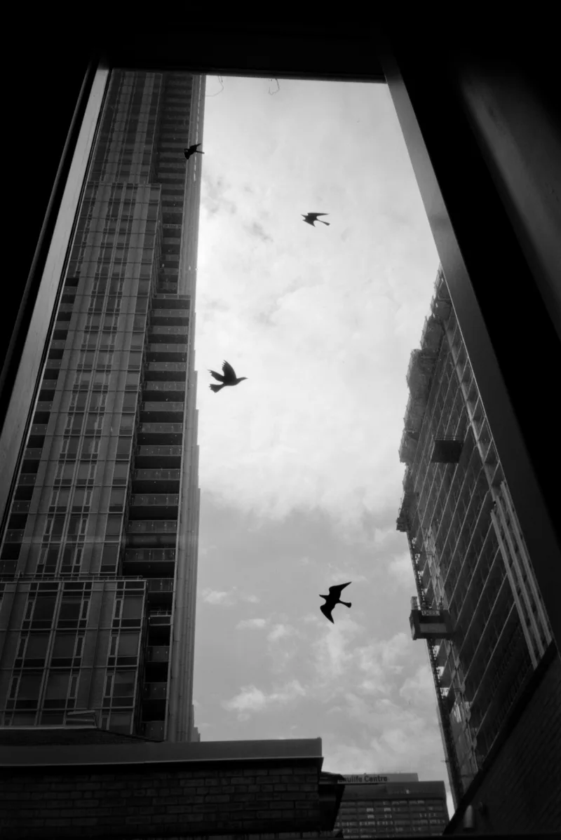 Through the Looking Glass shot on Fujifilm Neopan Acros 100 II with a Olympus XA, developed at The Lab Vancouver, by Kryptexz