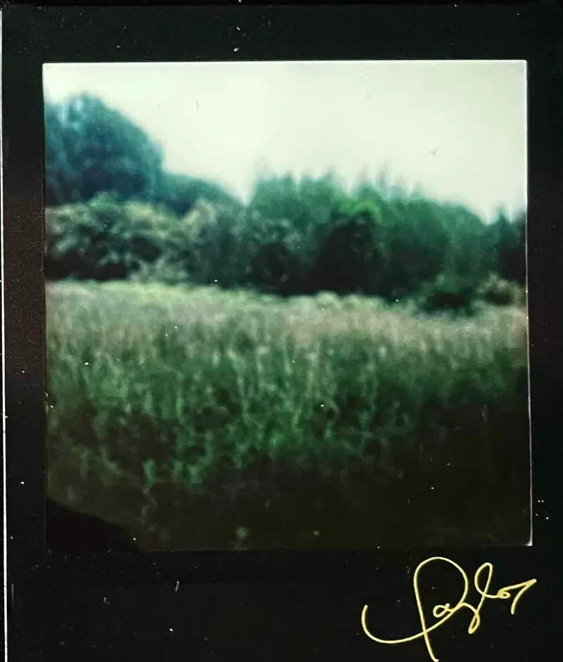 Flooded Meadow (4) shot on Fuji Instax Square with a Lomo’Instant Wide, developed at Instant Film, by Tony Shelley