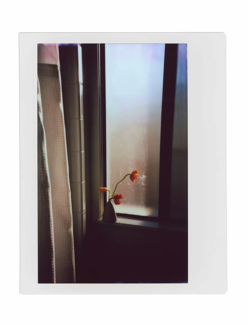 five seconds of light shot on Fujifilm Instax Wide, by radostina