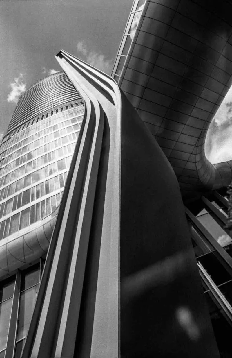 Nervus Vagus shot on Rollei RPX 400 with a Nikon FM2, developed at Home / Self-Developed, by Angela Khoptyuk