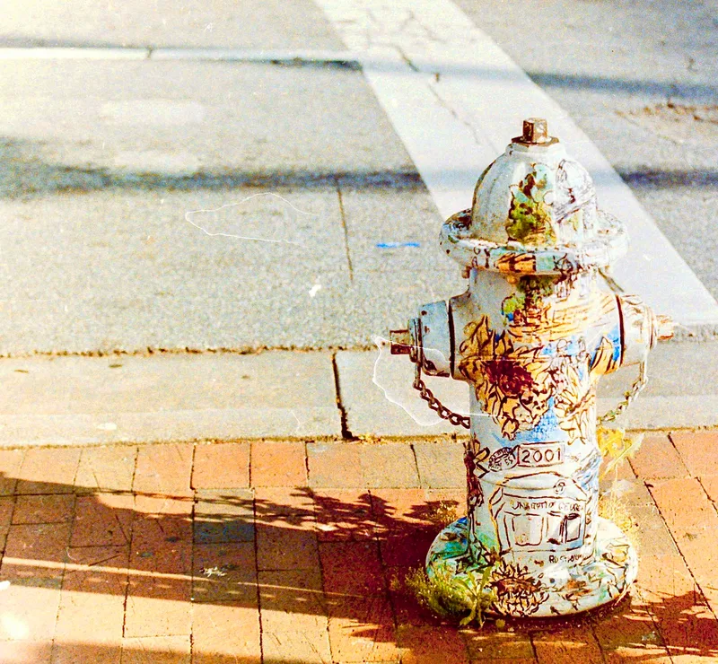 Athens has better fire hydrants than Marietta shot on Atlanta Film Company 500T with a Nikon FM, developed at Home / Self-Developed, by Ryan Jensen