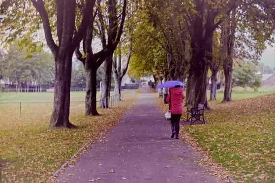 In the Park shot on Kodak ColorPlus 200 with a Petri 7S, developed at Max Speilmann, by Nigel Owen