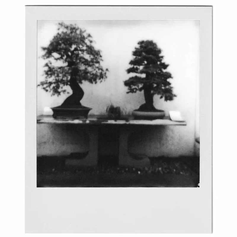 Couple shot on Polaroid B&W 600 with a Polaroid OneStep+, by Lorenzo Cremona