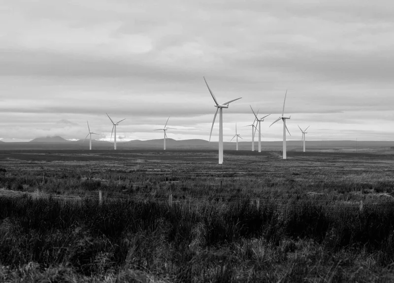 Barren & windy shot on Ilford HP5 with a Kodak waterproof disposable camera, by Rick Davy