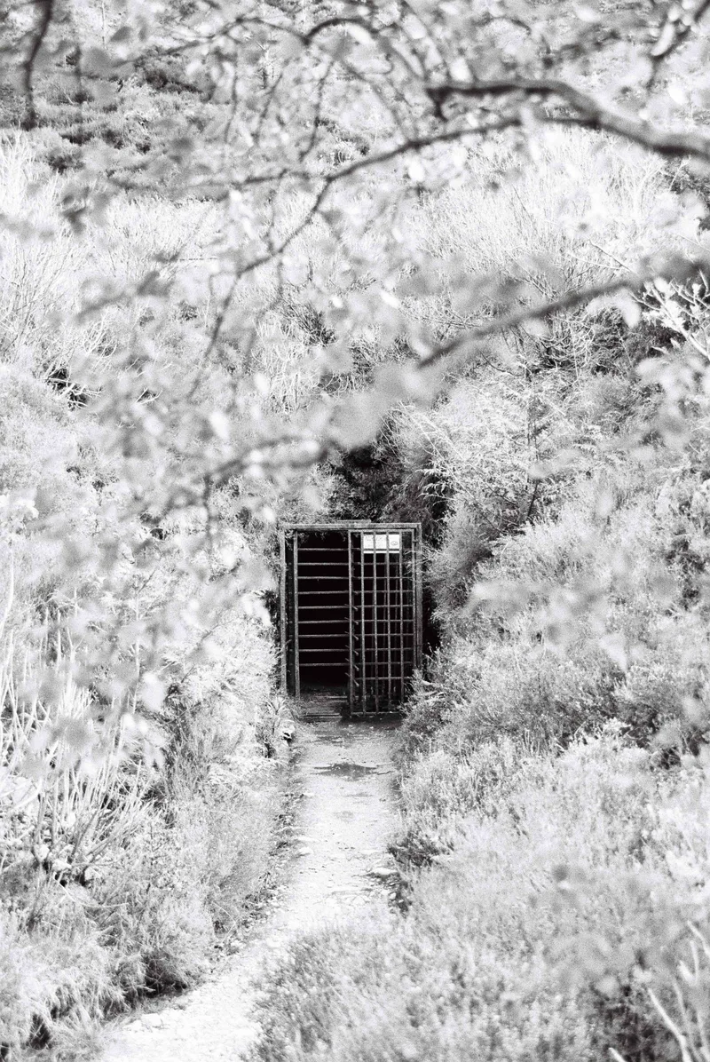 The Bat Cave shot on Ilford Kentmere Pan 100 with a Canon EOS 300, developed at Film Processing, by Ols