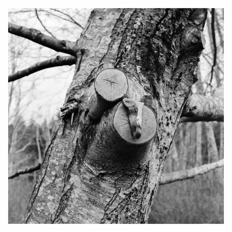 Cold Toes shot on Kodak BW400CN with a Yashica A, developed at Jane’s Fotomat, by Simon