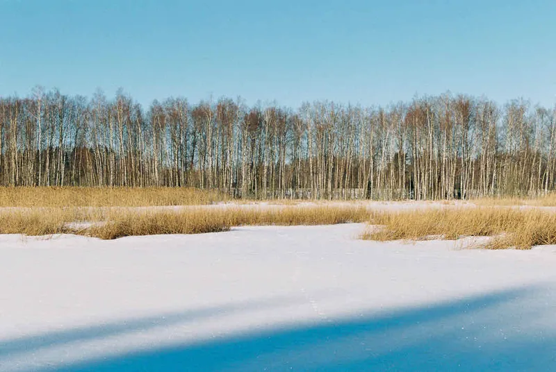 Frozen lake - again shot on Kodak Gold 200 with a Nikon F5, developed at Photo Stella, by Jussi