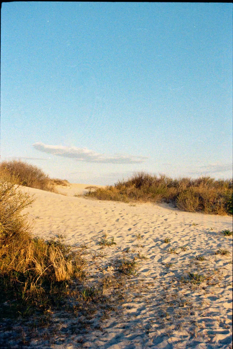 Dune shot on Kodak Gold 200 with a Canon A1, developed at Camera’s Etc., by Ken