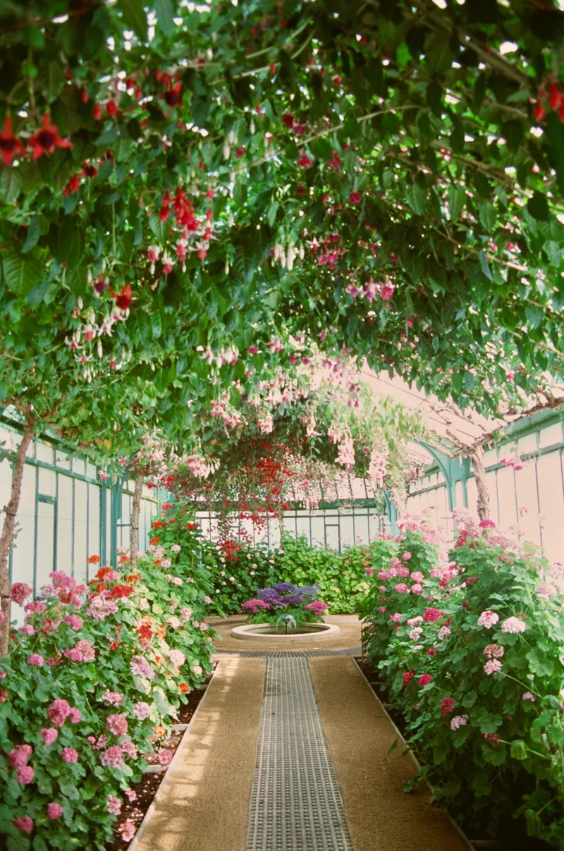 Serres Royales Laken shot on Fujifilm Provia 100F with a Pentax K1000, by Aron Buffel