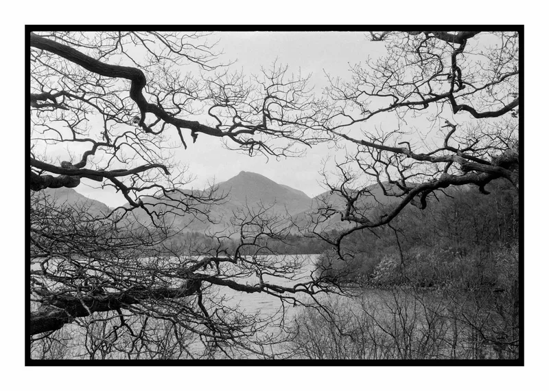 Grisedale Pike through the trees shot on Ilford Kentmere Pan 100 with a Leica M4, developed at Home / Self-Developed, by Stuart Leeds
