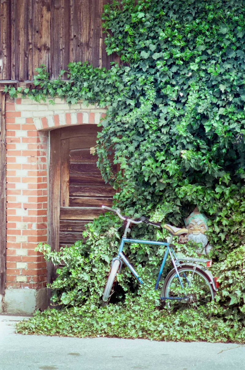 Little guy shot on Cinestill 50D with a Minolta SR-T 303, developed at Foto Zumstein Zürich, by Aderin