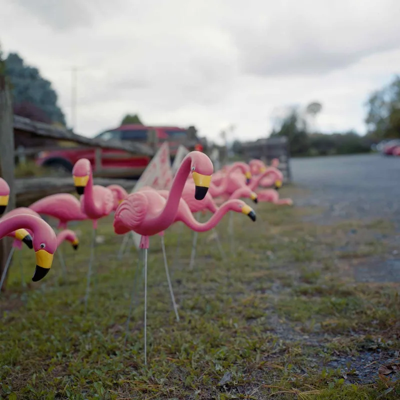 Film photo shot on Kodak Portra 400 with a Rolleiflex 3.5E, developed at Process One, by Ryan
