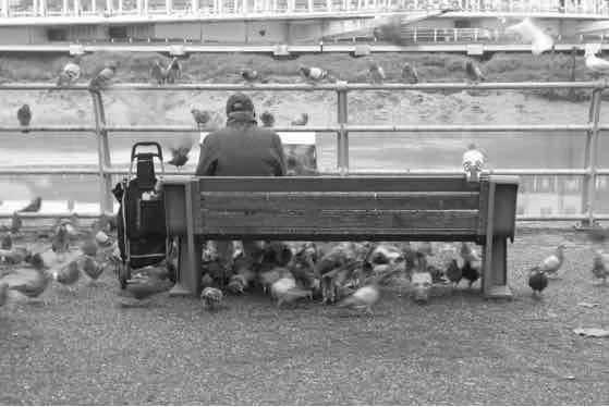 Amongst the Birds shot on Agfa APX 100 with a Petri 7S, developed at Max Speilmann, by Nigel Owen
