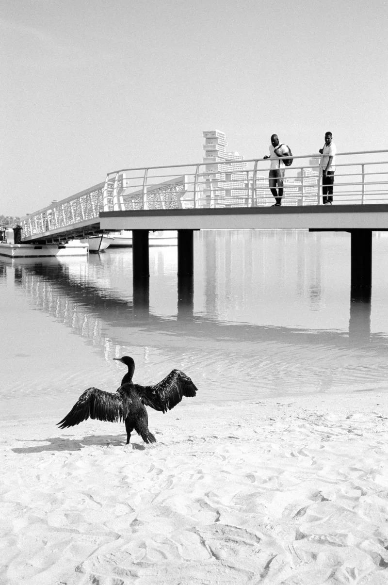 Film photo shot on Kodak T-Max 100 with a Leica MP, developed at Lab Al Awal, by 13slvsl