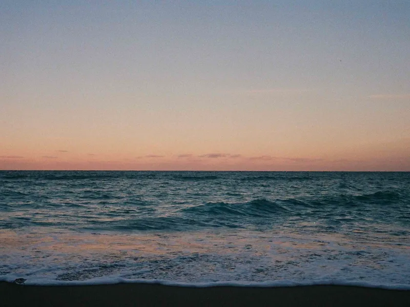Jupiter, FL shot on Fujifilm 400 with a Nikonos IV-A, developed at 60 Minute Photo Lab, by Jesse