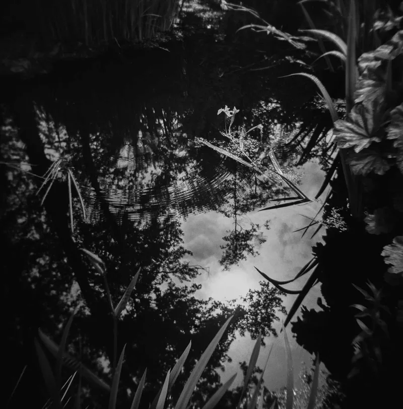 Pond shot on Ilford HP5 Plus 400 with a Holga 120N, developed at Kenmore Camera Photo Lab, by Camilla